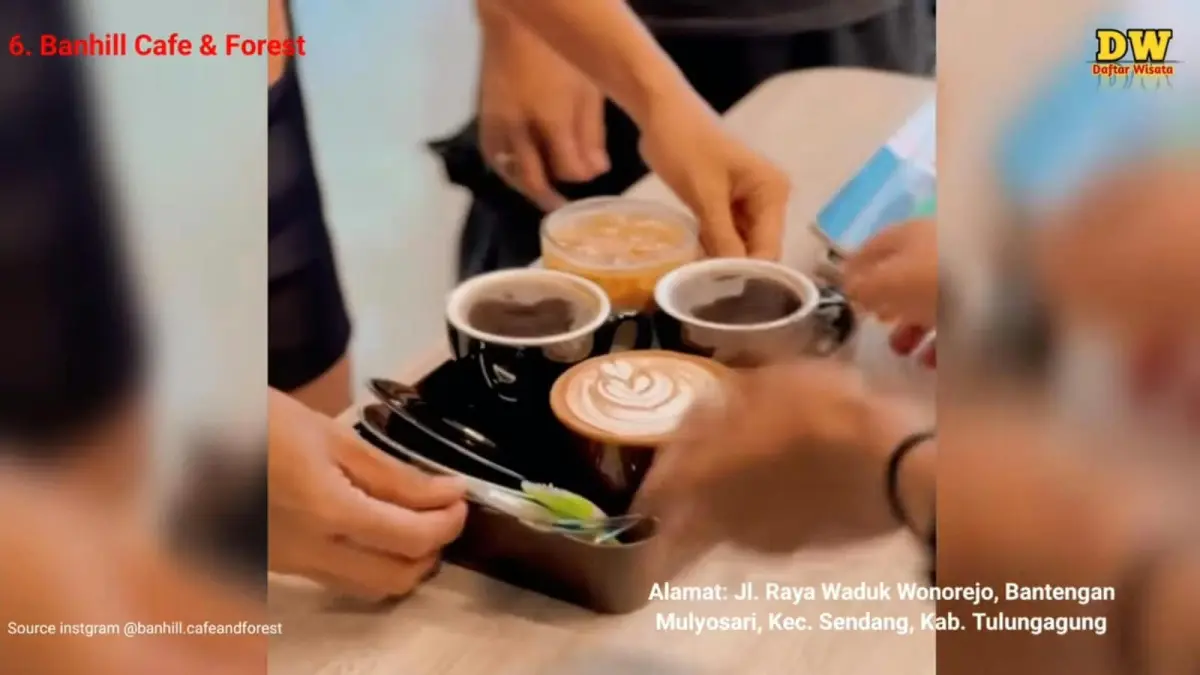 Bill Cafe and Forest menawarkan pengalaman ngopi dengan panorama Waduk Wonorejo, menjadi salah satu rekomendasi wisata Tulungagung terbaru untuk bersantai.