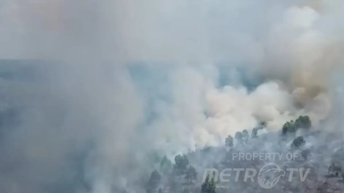 Karhutla Berau mengungkap dugaan pembakaran 12 hektare lahan untuk kebun sawit. Seorang pria ditetapkan sebagai tersangka dengan kerugian Rp1,2 miliar.(SC Youtube)