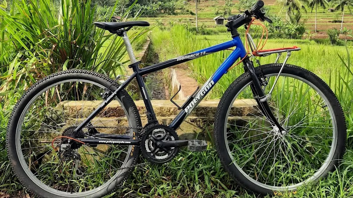 Polygon Monarch M3 2022 hadir dengan warna abu-abu baru dan aksen oranye. Sepeda entry level ini dibanderol sekitar Rp2,3 juta.(pinterest)