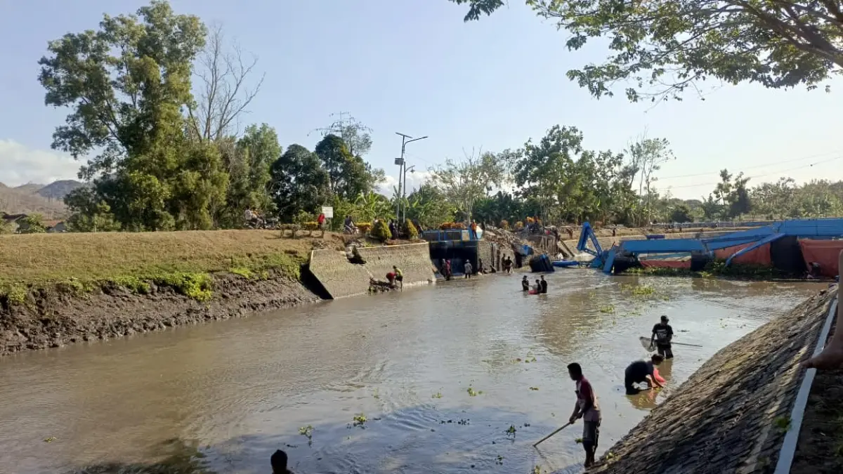 Ambrolnya Dam Pacar membuat ketinggian air menurun, namun dampak terhadap lahan pertanian sejauh ini belum signifikan karena mayoritas sawah ditanami palawija.(RAHIIQ AL BACHRI)
