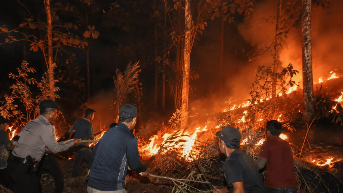 Api membakar sekitar tiga hektare kawasan hutan Perhutani di Desa Tiudan, Gondang. Warga bersama polisi melakukan pemadaman untuk mencegah api meluas.(ILUSTRASI AI)