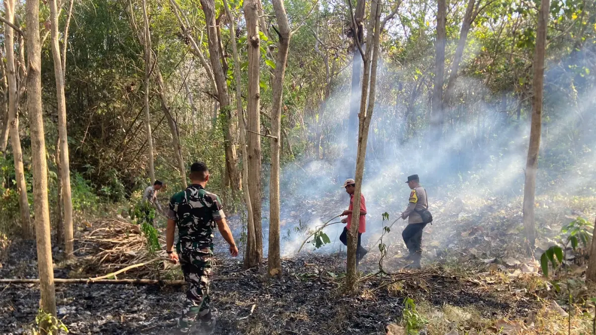 Petugas pemadam kebakaran bersama personel Polsek Kalidawir berjibaku memadamkan kebakaran hutan jati milik Perhutani di Dusun Tondo, Desa Pagersari, Kecamatan Kalidawir, Selasa (1/9/2026).(POLRES TULUNGAGUNG)
