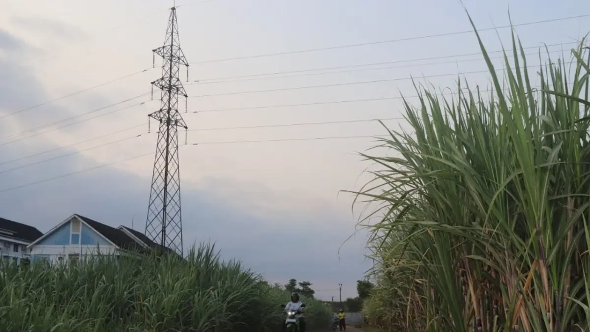 Jalur sutet melintas di area lahan yang disiapkan untuk pembangunan Sekolah Rakyat di Tulungagung. Desain dan tata ruang bangunan bakal disesuaikan untuk keselamatan, sementara konstruksi fisik ditargetkan dimulai Oktober 2026.(SANDY YUWANA/RATU)