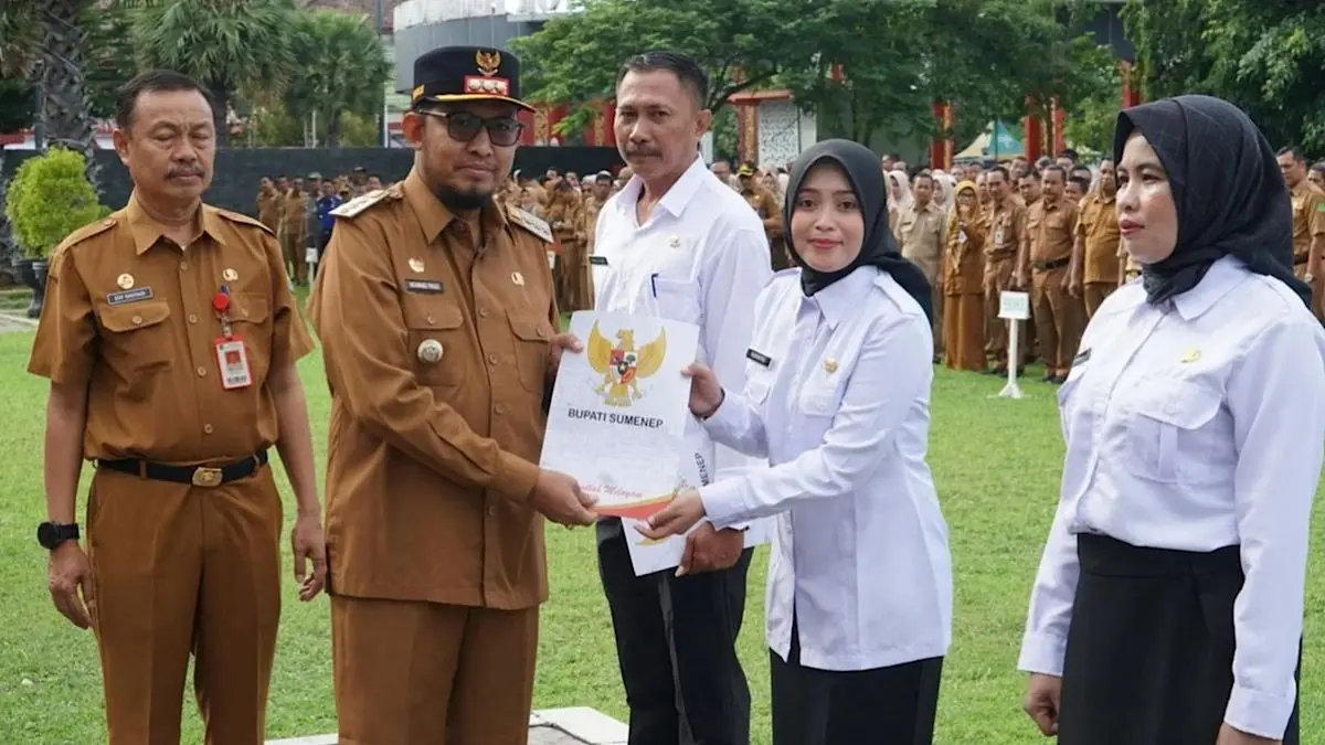 PPPK paruh waktu 2027 mendapat titik terang. DPR mengungkap rencana pengalihan menjadi PPPK penuh waktu dan peluang mengikuti seleksi CPNS.(pinterest)
