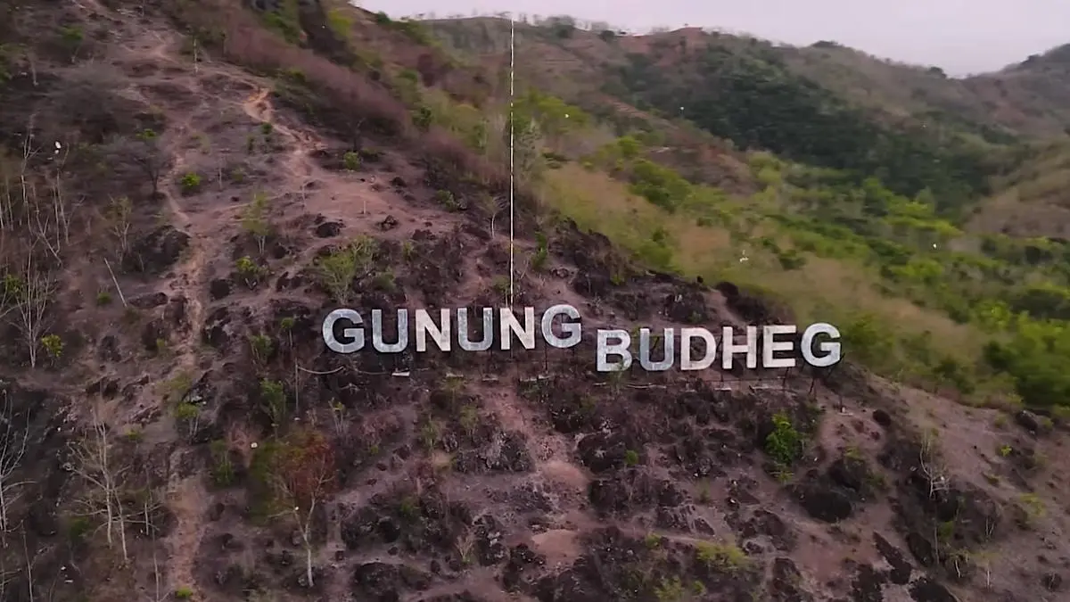 Gunung Budheg Tulungagung dirawat Agus Utomo sejak 2003. Dari tutupan vegetasi sekitar 10 persen, kini disebut mencapai 90 persen.(sc youtube)