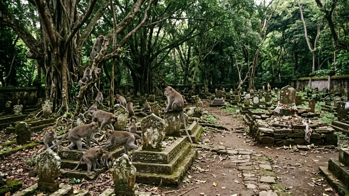 Kuburan Ngujang menyimpan cerita tentang kera, makam desa, kisah Sunan Kalijaga hingga anggapan pesugihan yang diluruskan juru kunci. (Gemini AI)