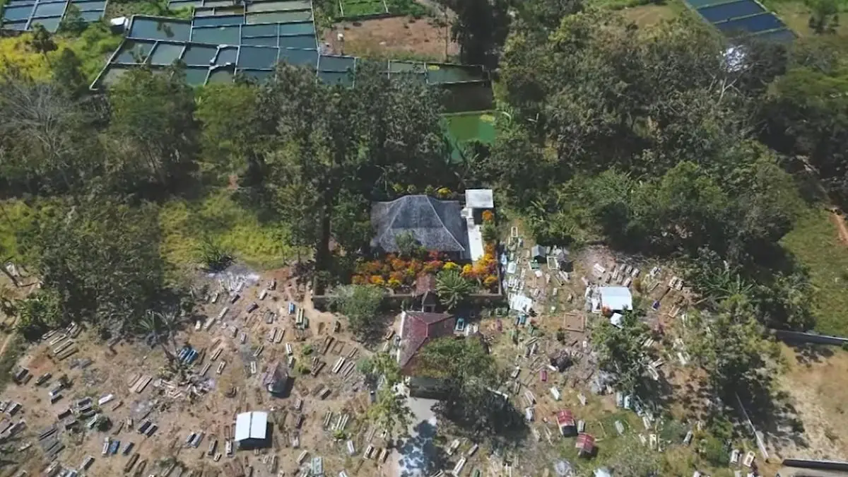 Makam Ngujang Tulungagung lekat dengan cerita pesugihan dan kera. Juru kunci Mbah Ribut meluruskan sejumlah mitos yang berkembang.(sc youtube)