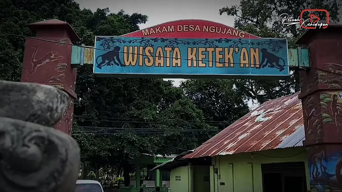 Pesugihan kera Ngujang Tulungagung lekat dengan berbagai rumor. Juru kunci Mbah Ribut menjelaskan cerita kera, tumbal hingga asal-usul Ngujang.(sc youtube)