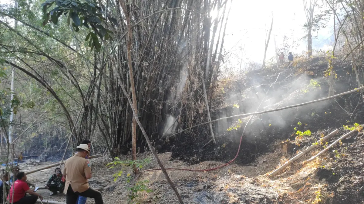 Lahan Perhutani di Junjung Terbakar, Api Meluas Mendekati Permukiman Warga.(DAMKAR TULUNGAGUNG)