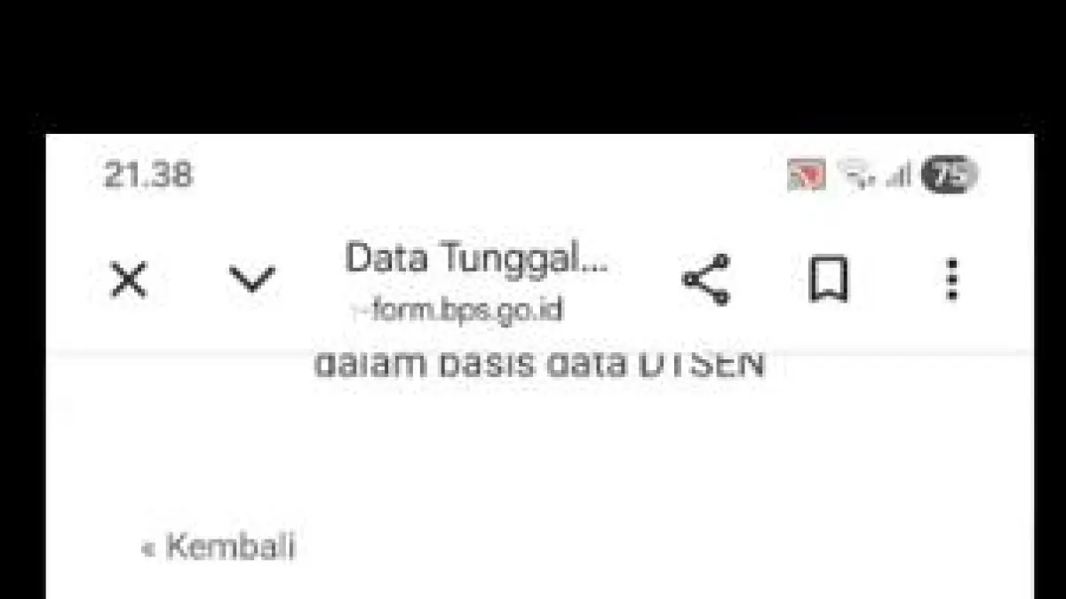 Cara cek desil di HP melalui DTSEN dan Cek Bansos untuk mengetahui posisi desil berdasarkan data sosial ekonomi.