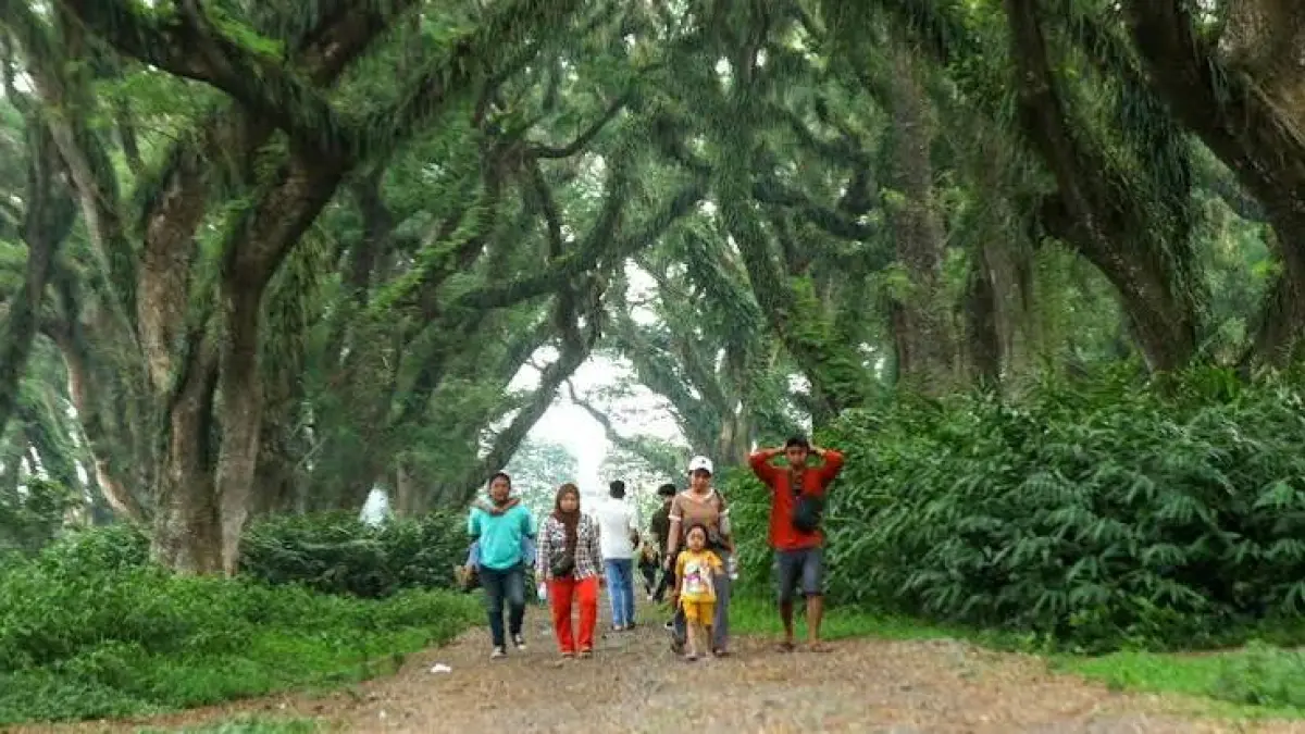 Cari tempat liburan seru? Cek 8 rekomendasi wisata Banyuwangi paling hits dan viral: Kawah Ijen, De Jawatan, Banyuwangi Park, hingga Green Island!