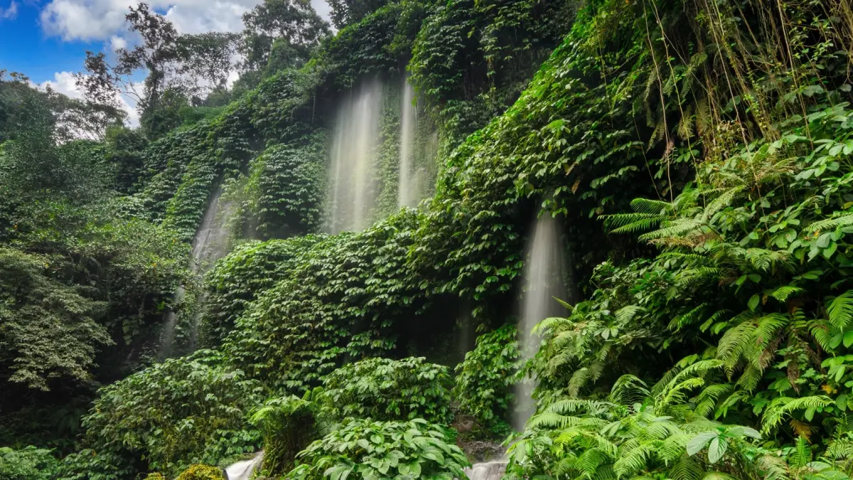 Wisata Lombok menawarkan pantai, air terjun, penginapan, hingga tips transportasi dan biaya liburan selama tiga hari (Pinterest).