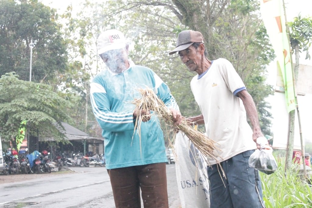 nguri-nguri-budaya-gelar-ritual-labuh-di-sawah