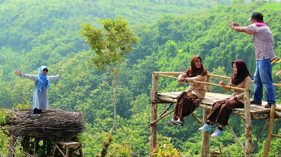 kacau-sarang-burung-raksasa-di-bukit-jomblo-dirusak-warga