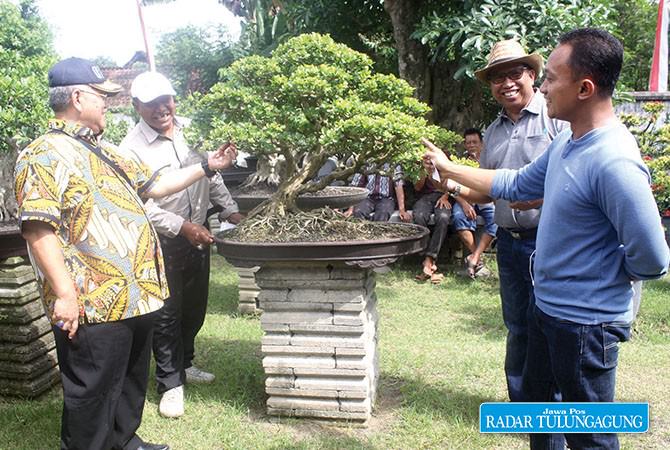 ppbi-tulungagung-ingin-ada-destinasi-kampung-bonsai-untuk-dikenal