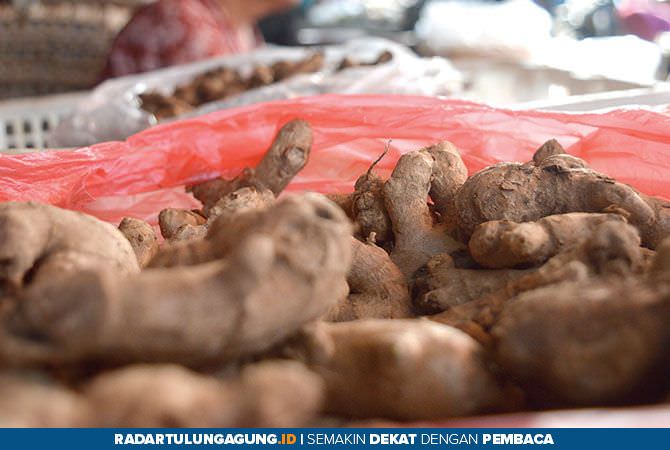 harga-kencur-kalahkan-daging-ayam