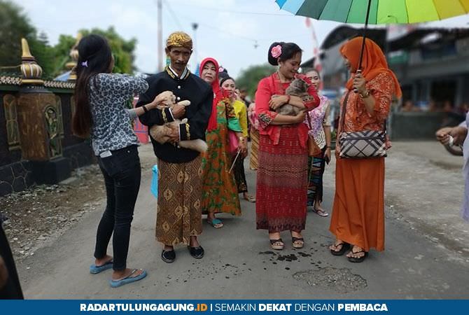 mirip-prosesi-pengantin-sungguhan-kucing-dinikahkan-agar-turun-hujan