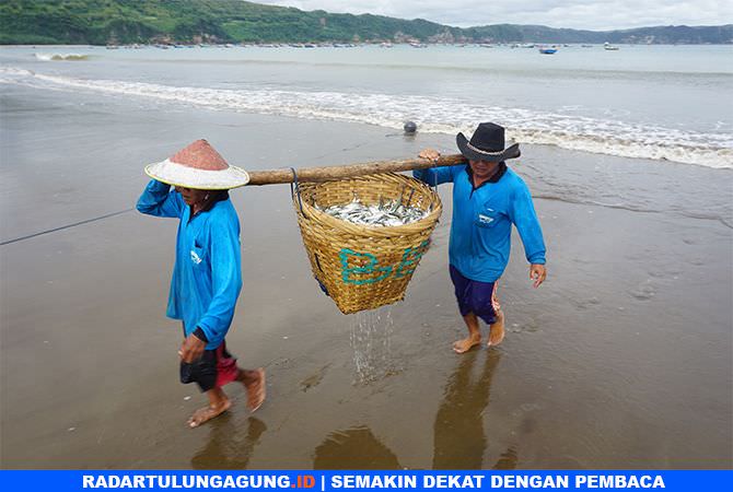 hasil-tangkapan-nelayan-pantai-sine-didominasi-ikan-layur-dan-teri