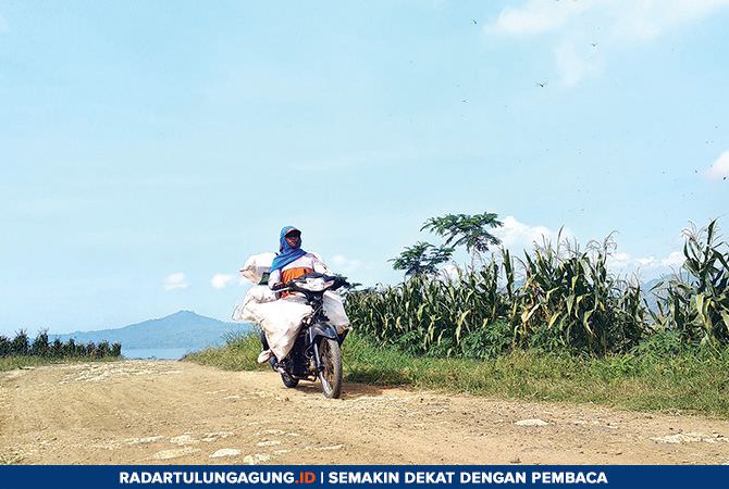jalan-masuk-ke-pantai-coro-tak-mulus-belum-beraspal-dan-bebatuan