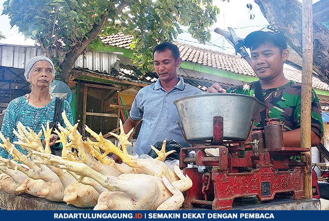 akhir-maret-harga-ayam-potong-turun-ini-alasannya