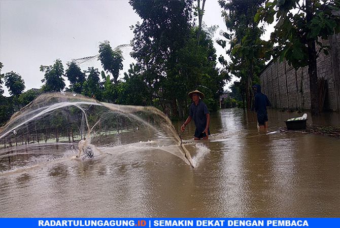 banjir-rendam-desa-waung-puluhan-ribu-ikan-gurami-lepas-dari-kolam