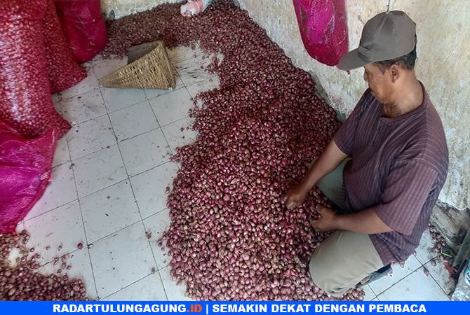 bawang-putih-dan-merah-tembus-rp-28-ribu-rp-35-ribu-per-kilogram
