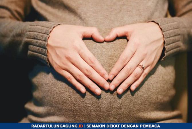 deretan-bahaya-kandungan-timbal-dalam-bungkus-makanan-tak-sehat