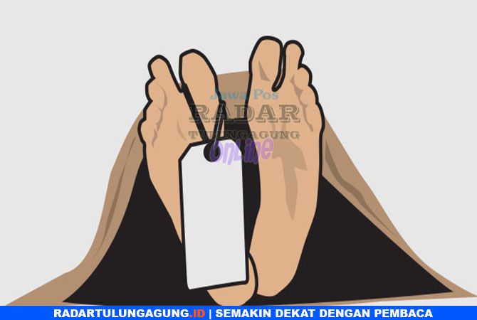 istri-kaget-melihat-langsung-suami-gantung-diri-di-pohon-pepaya