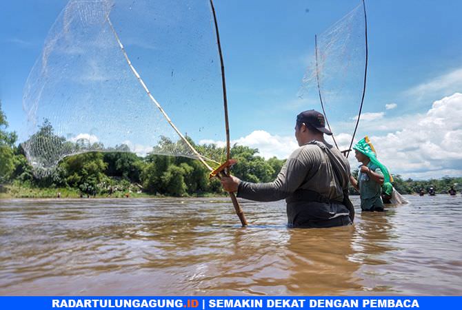 jawaban-warga-terkait-kedatangan-fenomena-pladu-di-sungai-brantas