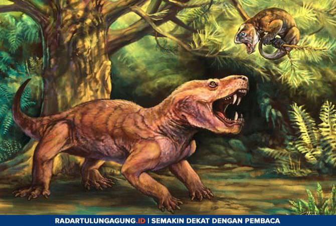 rencana-dirikan-museum-geopark-dan-kawasan-geopark-nasional