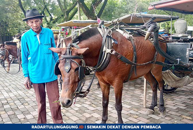 tetap-jadi-kusir-di-tengah-gempuran-transportasi-modern