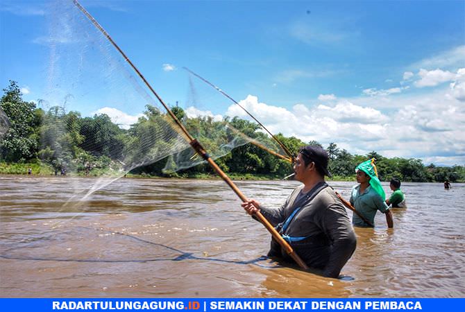 warga-beberkan-hasil-tangkapan-ikan-di-fenomena-pladu
