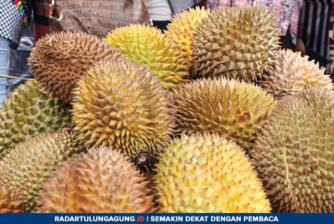 begini-cara-memilih-durian-yang-mantap