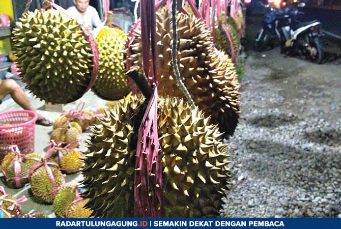 penikmat-rasa-manis-pahit-durian-bisa-coba-tips-ini