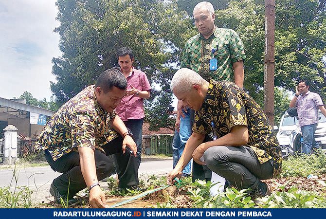 tim-gabungan-kembali-turun-telusuri-penebangan-sonokeling