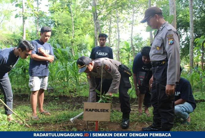 galang-penghijauan-kkn-36-umm-tanam-1000-pohon