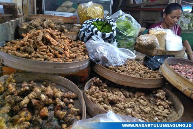jahe-trenggalek-dilirik-pasar-luar-negeri