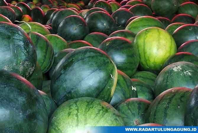 buah-semangka-melejit-di-tengah-covid-19