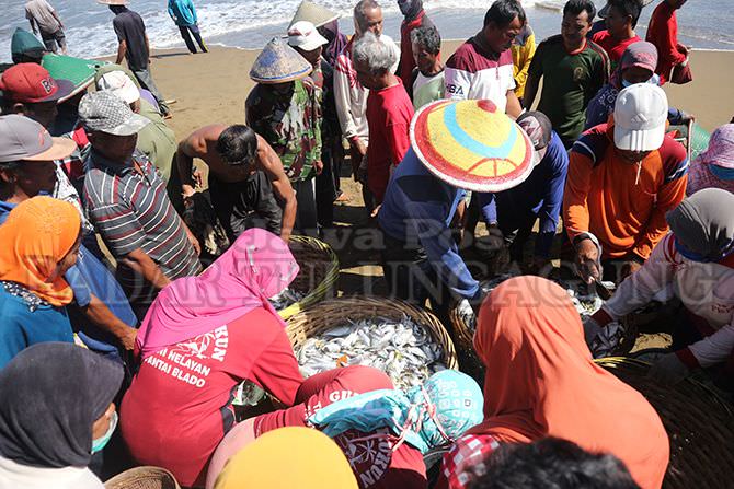 daya-serap-stabil-harga-ikan-tangkapan-normal