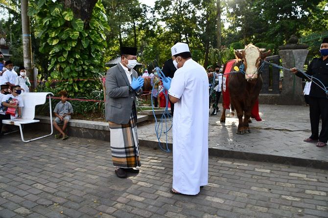 bupati-tulungagung-serahkan-sapi-seberat-1-ton