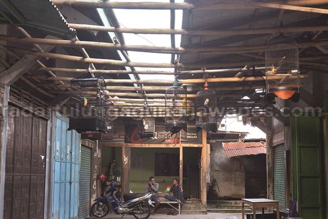 revitalisasi-pasar-burung-belum-prioritas