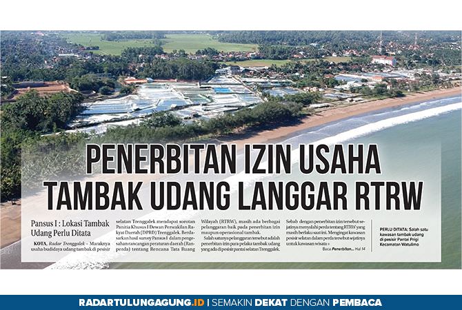penerbitan-izin-usaha-tambak-udang-langgar-rtrw