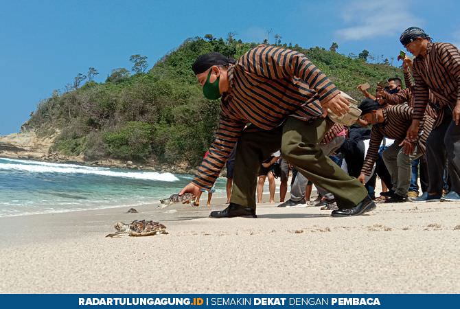 swadaya-tiga-hari-sekali-sisir-pantai