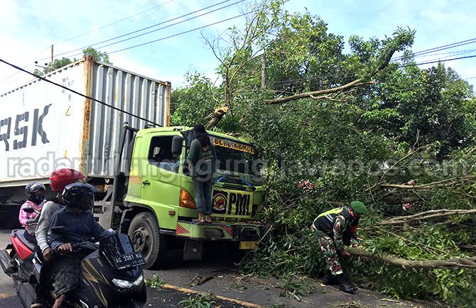 bak-nyangkut-kabel-listrik-pohon-tumbang-timpa-truk