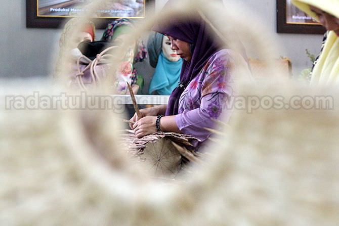 eceng-gondok-belum-terlalu-dilirik