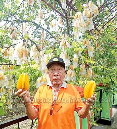 mengenal-imam-surani-penggagas-agrowisata-belimbing-karangsari