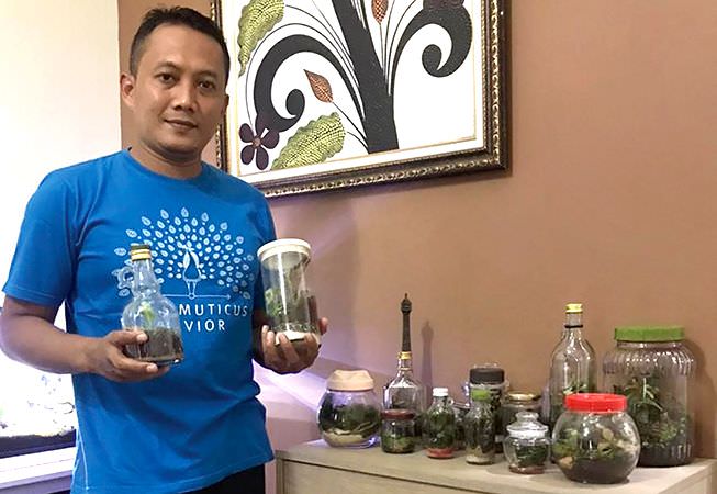 buat-miniatur-alam-pelajari-tiap-karakter-tumbuhan