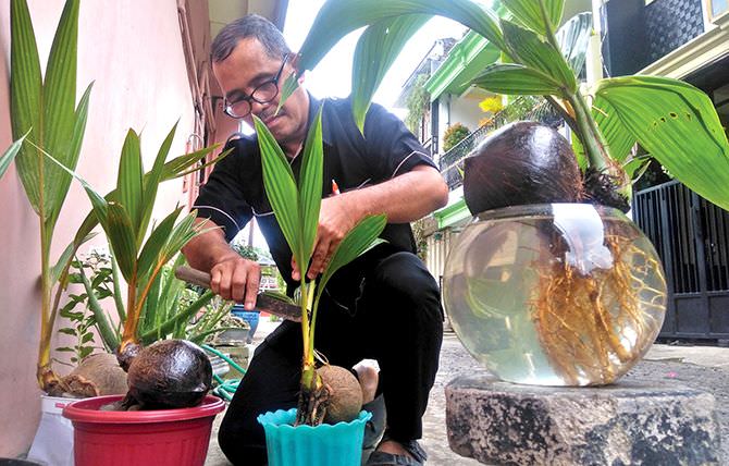 cerita-nurhuda-guru-fisika-yang-tekuni-kerajinan-bonsai-kelapa