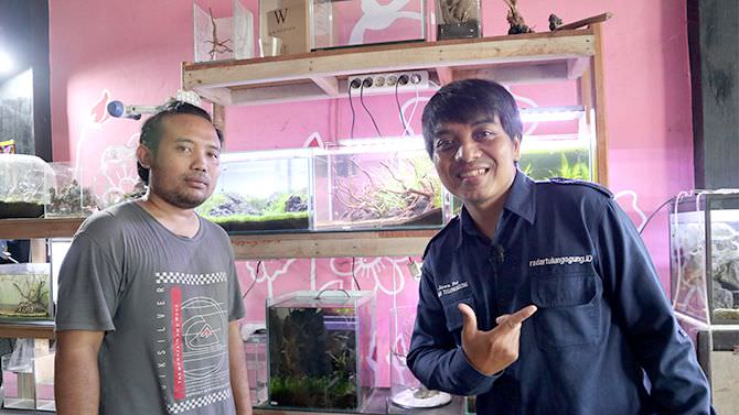 tips-membuat-aquascape-dengan-budget-terbatas
