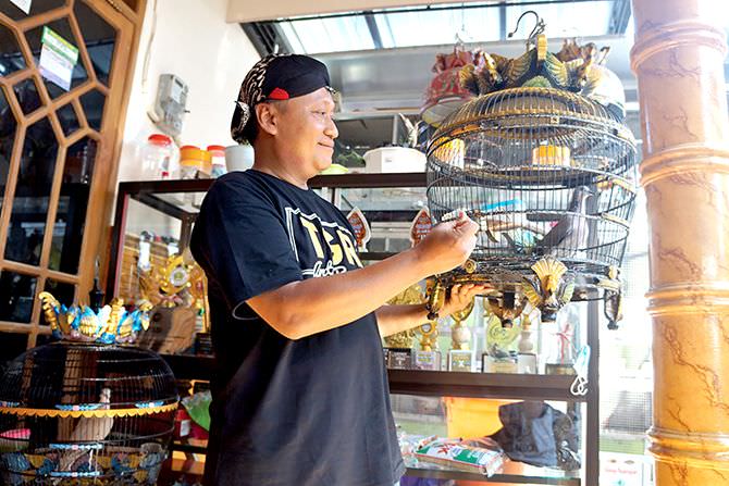 sudianto-asn-yang-dapat-berkah-dari-ternak-burung-anggungan